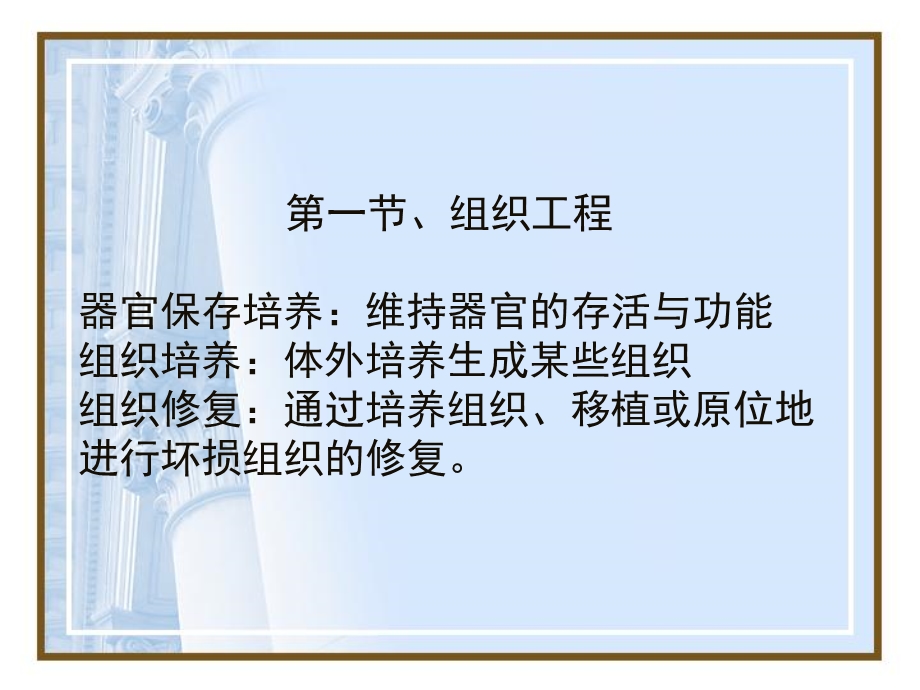 动物组织与胚胎工程.ppt_第2页