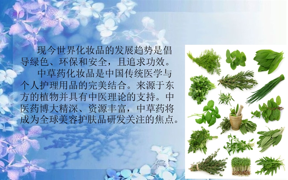 绿色化妆品中草药在化妆品中的应用.ppt_第2页