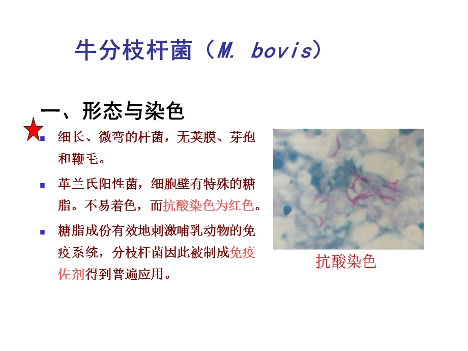 第十五章分枝杆菌属.ppt_第2页