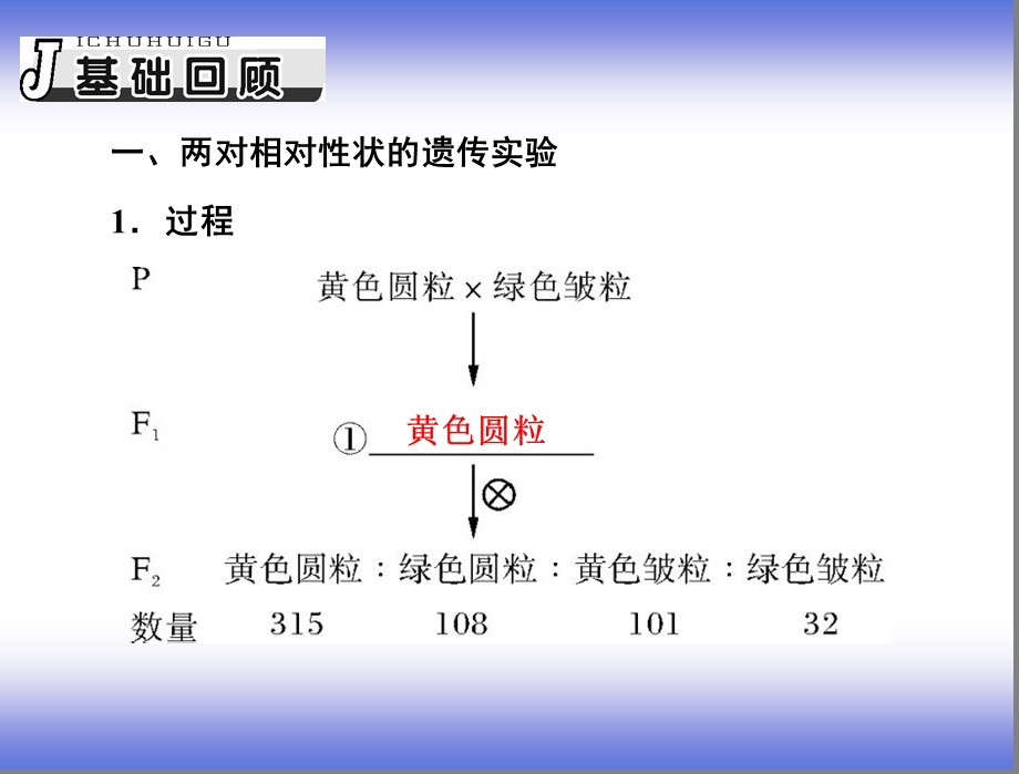 孟德尔的豌豆杂交实验(二).ppt_第2页