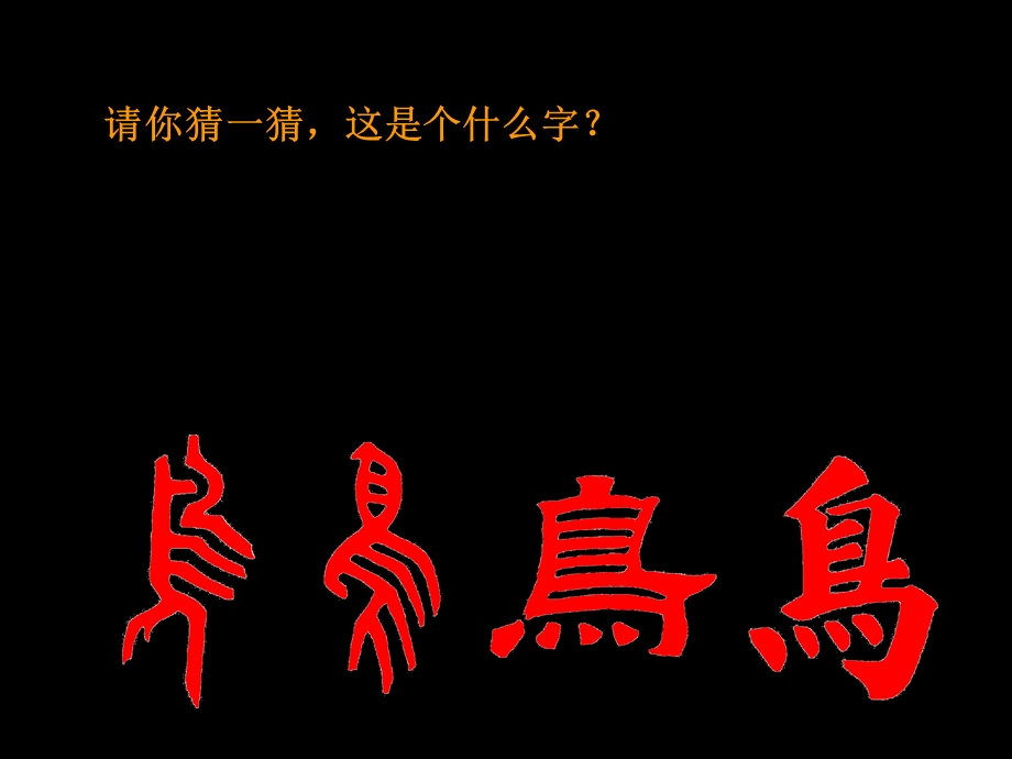 小学美术课件美丽的鸟.ppt_第1页