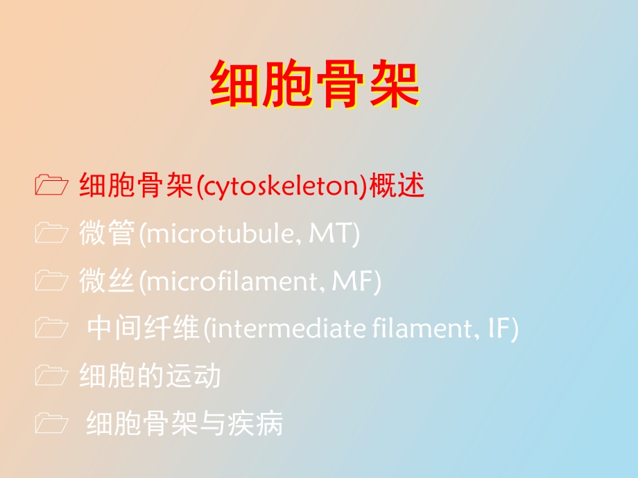 医学细胞生物学第七章细胞骨架.ppt_第2页