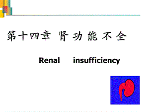 第十四部分肾功能不全教学课件.ppt