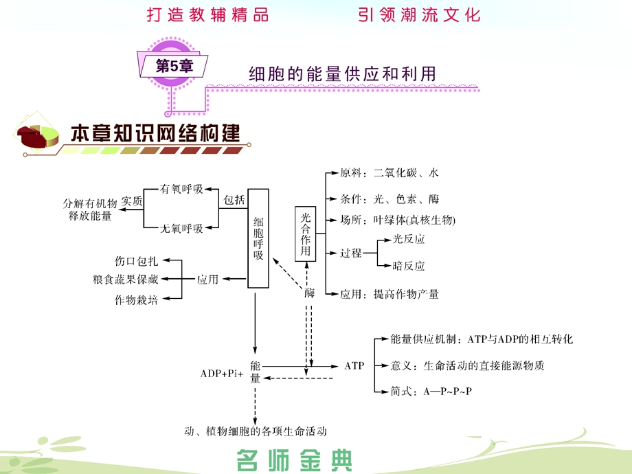 第章细胞的能量供应和利用.ppt_第1页