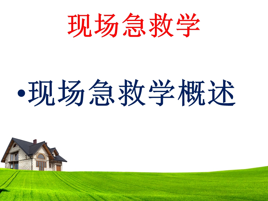 现场急救概述.ppt_第3页