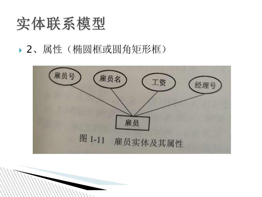 实体联系模型向关系模型的转换.ppt_第3页