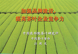 以培植品牌为重点提高茶叶企业核心竞争力.ppt