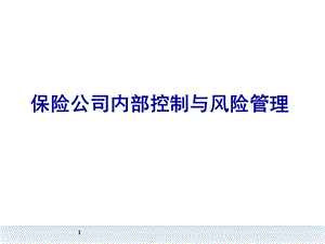 保险公司风险管理与内部控制.ppt