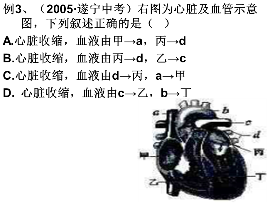 九上43体内物质的运输练习ppt课件.ppt_第3页