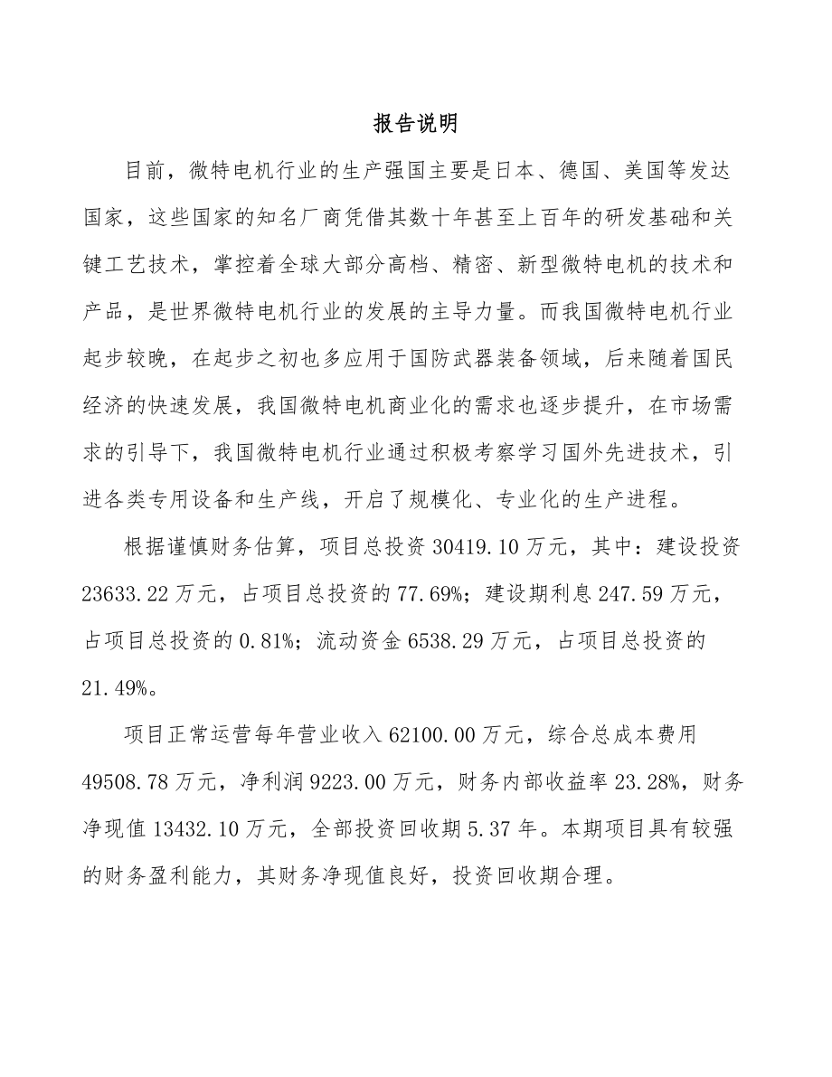 合肥微特电机项目可行性研究报告.docx_第2页