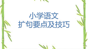 小学语文扩句要点及技巧.ppt