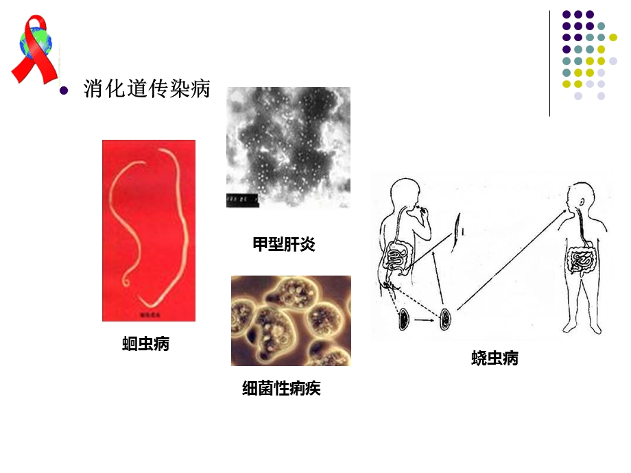 传染病及其预防PPT课件.ppt_第3页