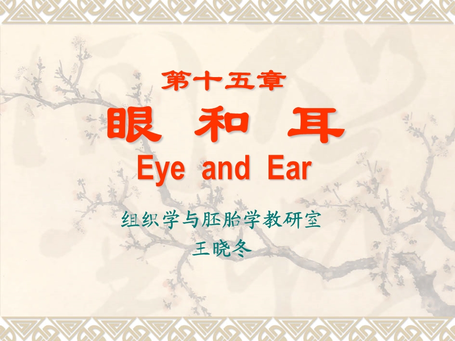 第十五部分眼和耳EyeandEar教学课件.ppt_第1页