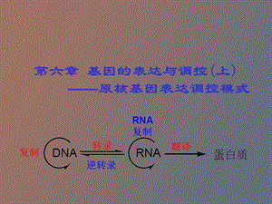 原核生物的基因表达与调控.ppt