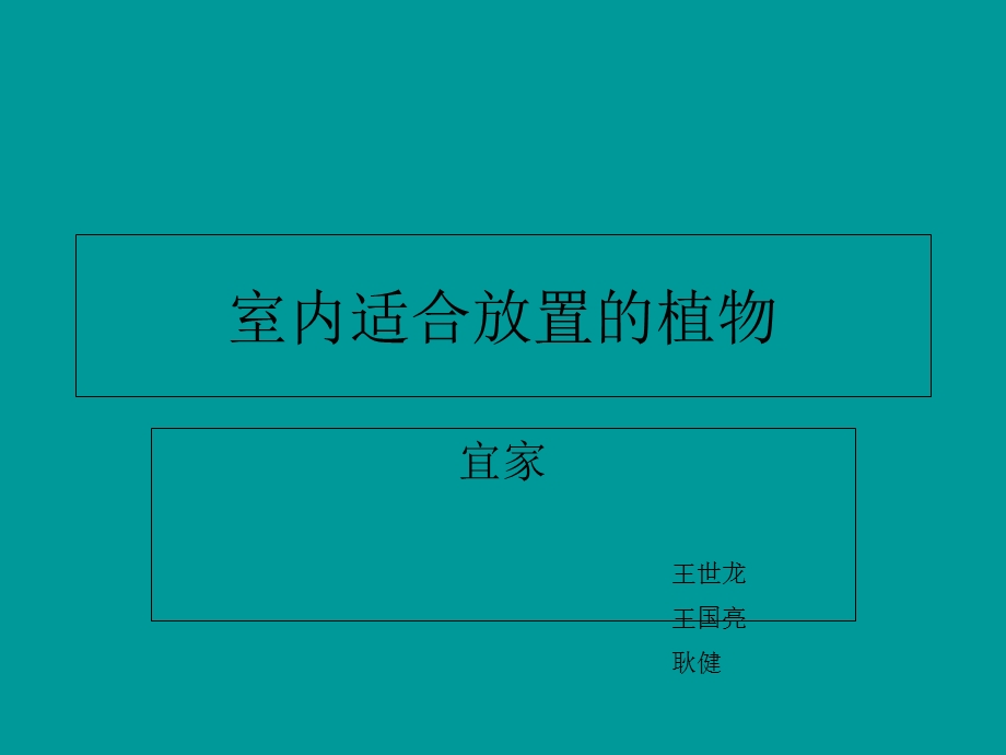 室内适合放置的植物.ppt_第1页