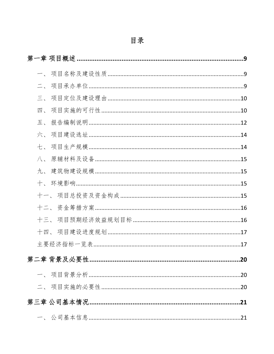 合肥活塞项目可行性研究报告模板参考.docx_第2页