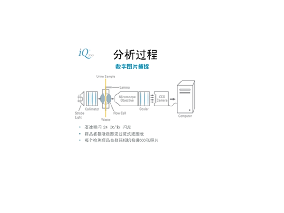 IQ200尿沉渣分析仪.ppt_第3页