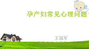 孕产妇常见心里问题.ppt