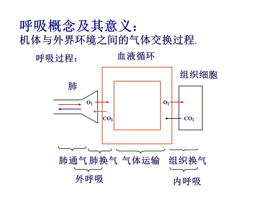 吸机基础知识笔.ppt_第2页