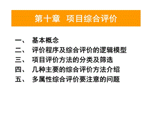 第十章项目综合评估.ppt