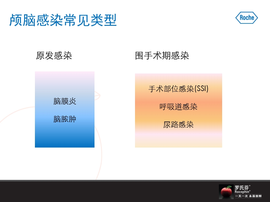 罗氏芬颅脑.ppt_第3页