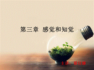 第三章 感觉.ppt