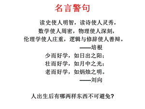 叶财政学课件仰第八章.ppt