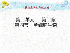 单细胞生物(共25张PPT).ppt