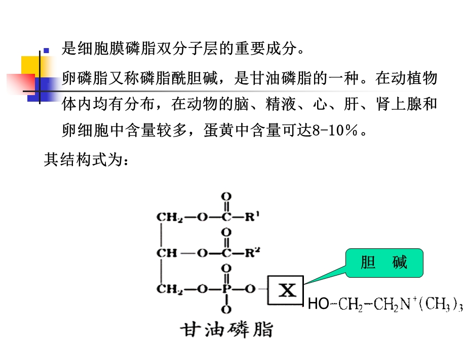 实验九卵磷脂的提取和鉴定.ppt_第3页