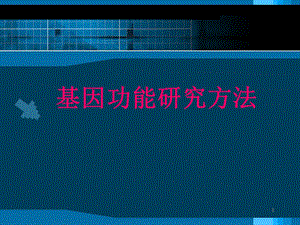 基因功能研究方法.ppt