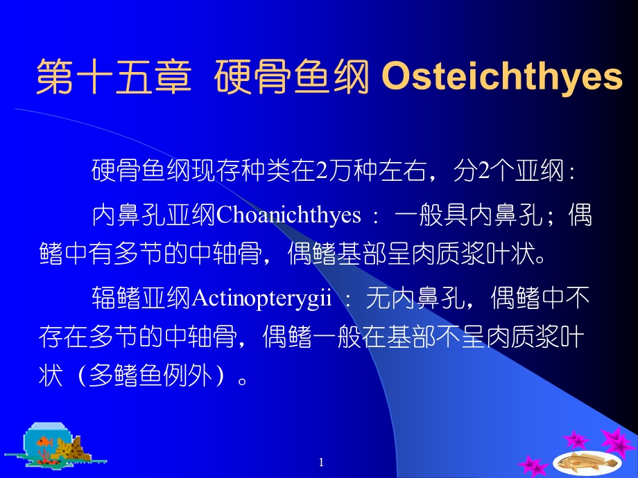 第十五部分硬骨鱼纲Osteichthyes.ppt_第1页