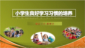 小学生学习习惯的培养PPT.ppt