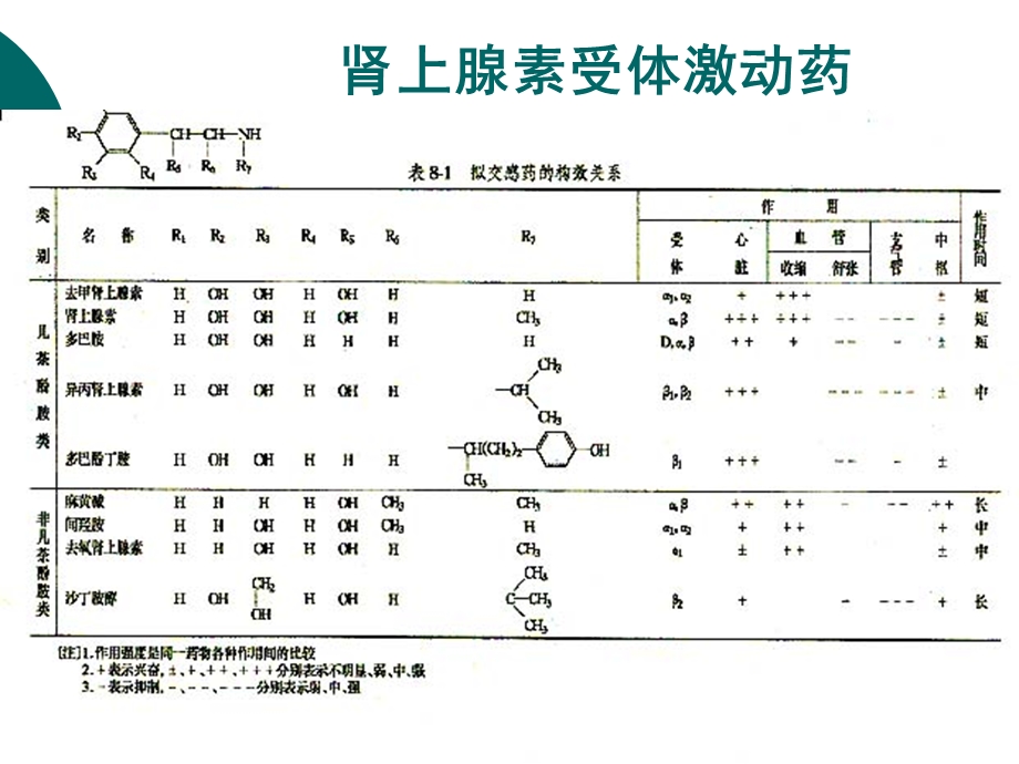 拟抗肾上腺素药(陈少雅人卫7版).ppt_第2页