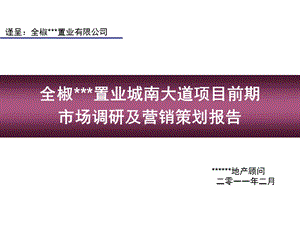 安徽滁州全椒城南大道项目前期市场调研及营销策划报告187页.ppt