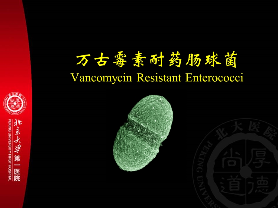 医学课件耐药革兰阳性菌感染及治疗.ppt_第2页