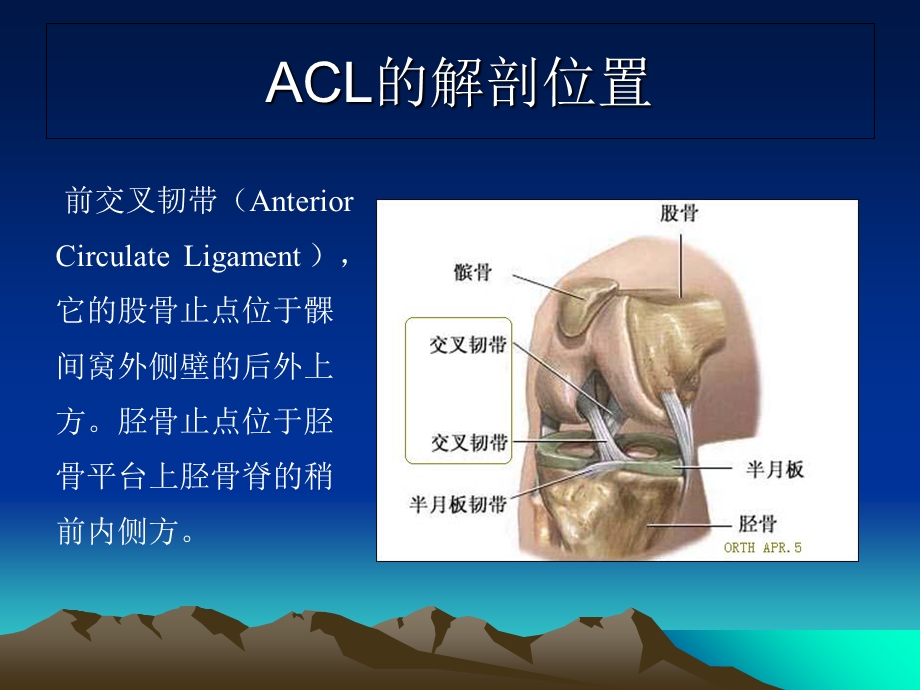 交叉韧带术后护理.ppt_第2页