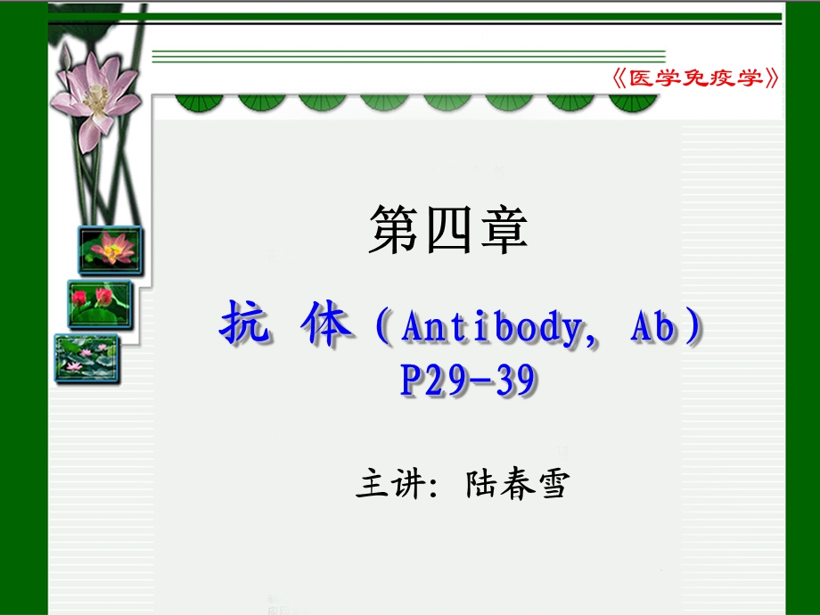 医学免疫学-抗体.ppt_第1页