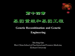 第章基因工程.ppt