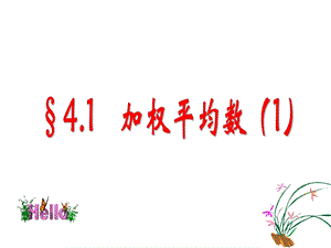 加权平均数(精品公开课).ppt