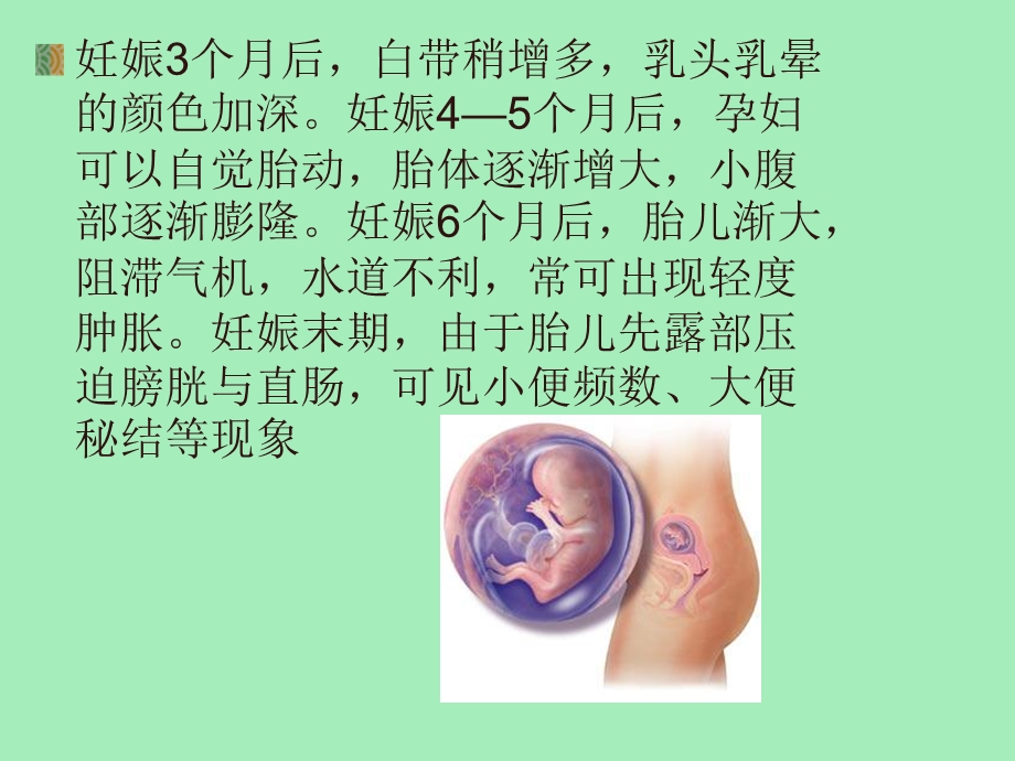 孕产妇中医健康管理技术规范.ppt_第3页
