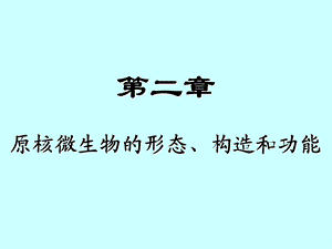 原核微生物形态构造和功能.ppt