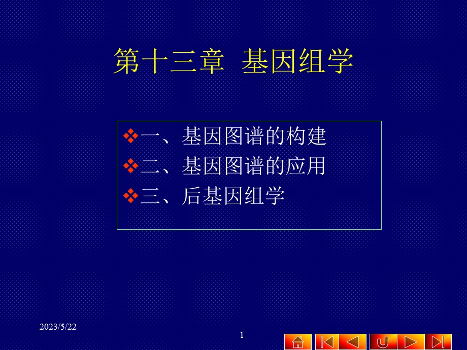 第十三部分基因组学教学课件.ppt_第1页