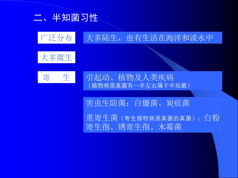 半知菌亚门Deuteromycotina.ppt_第3页