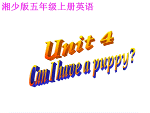 湘少版五上Unit4CanIhaveapuppy课件.ppt