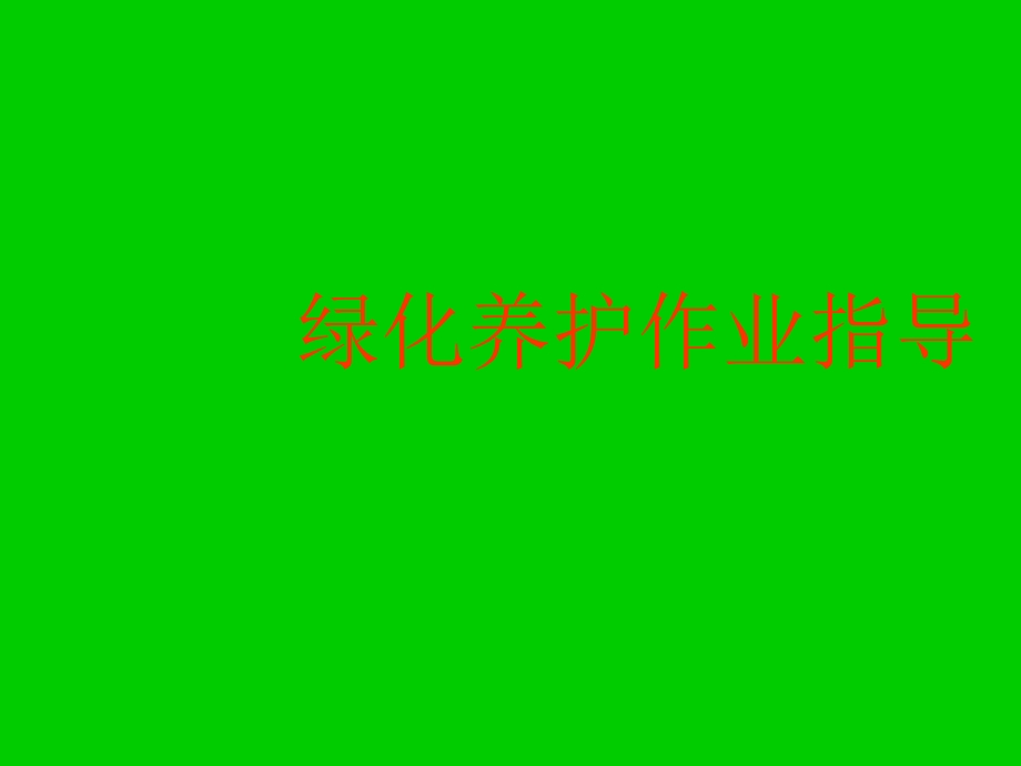 绿化养护管理课件.ppt_第1页