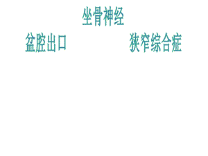 坐骨神经盆腔出口综合征.ppt