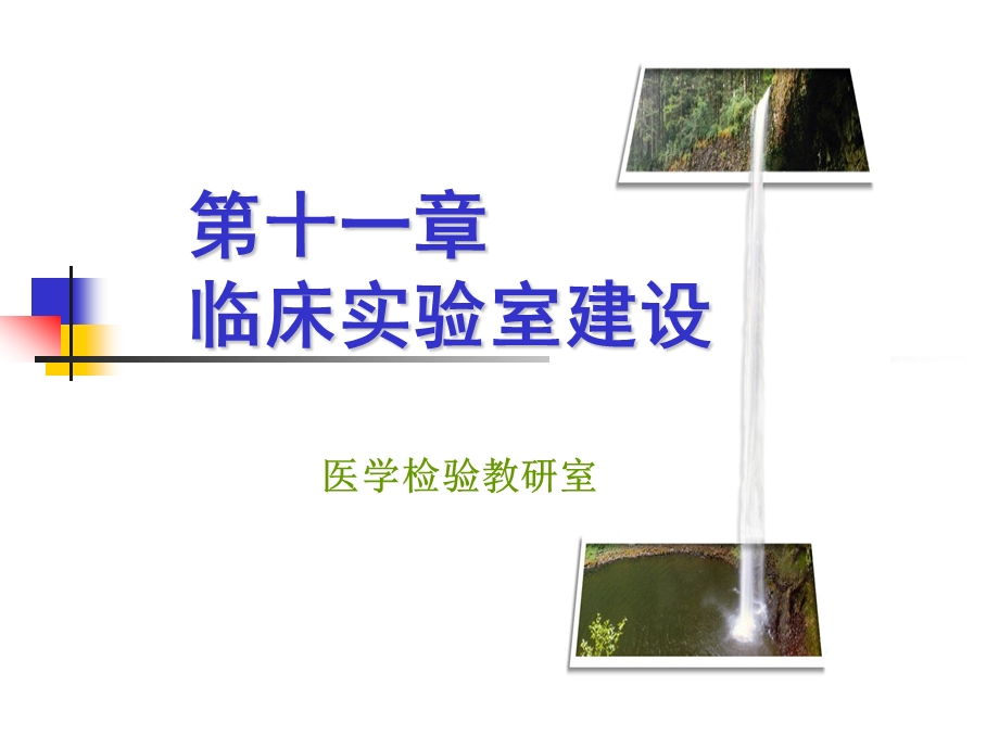 第十一临床实验室建设.ppt_第1页