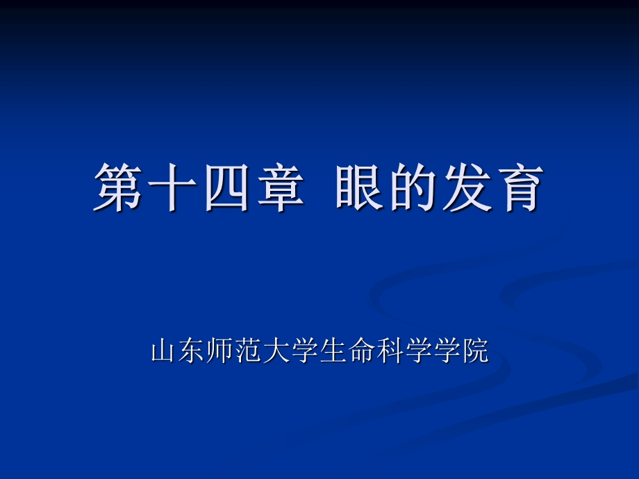 第十四眼的发育.ppt_第1页