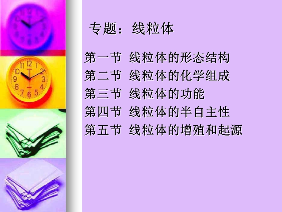 大学医学细胞生物学线粒体.ppt_第1页