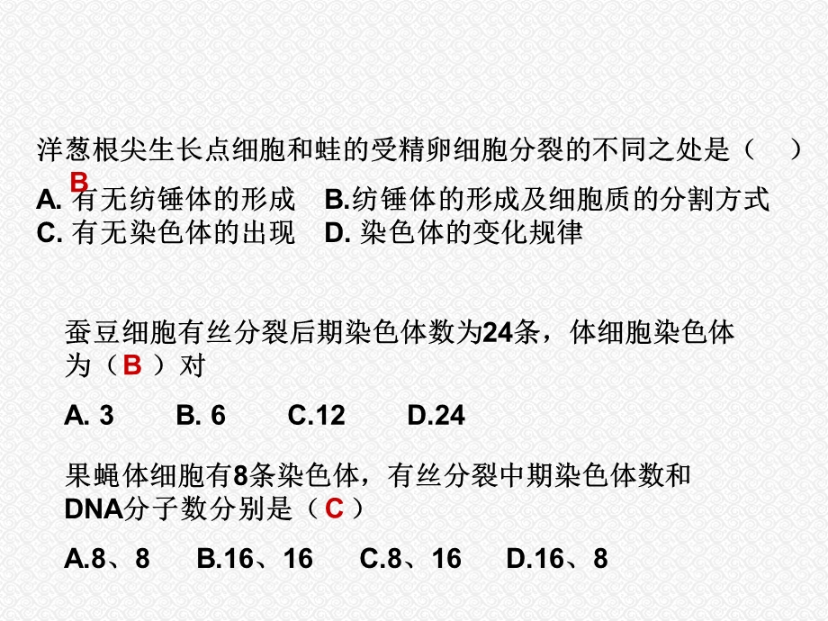 细胞分裂复习课.ppt_第1页